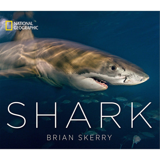 Book - Sharks: A National Geographic Book By Brian Skerry